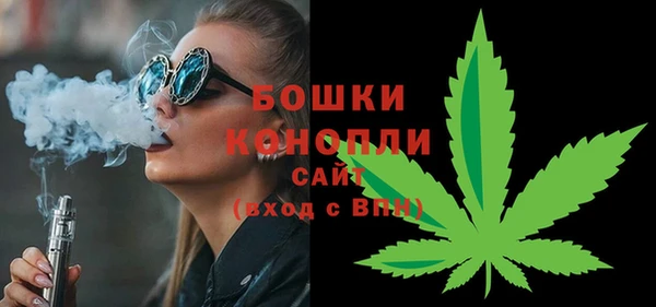 стафф Аркадак