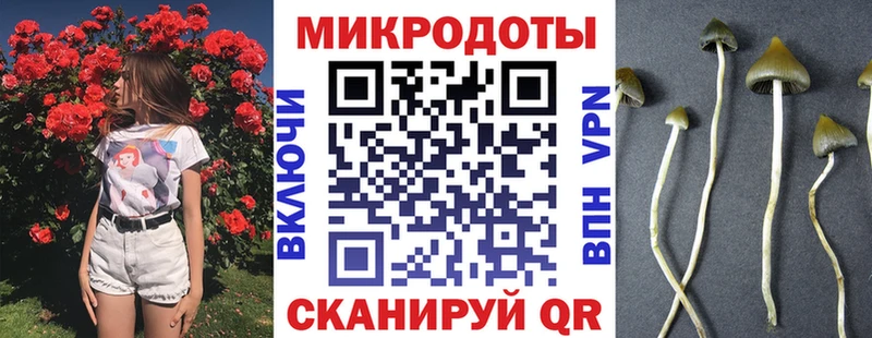 Псилоцибиновые грибы мухоморы  Яхрома 